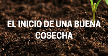 Foto de La semillería.